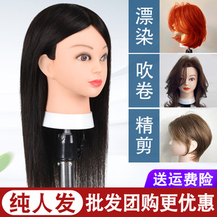 头模美发专用全真发剪发假人头模型理发店模特头模具烫染吹公仔头