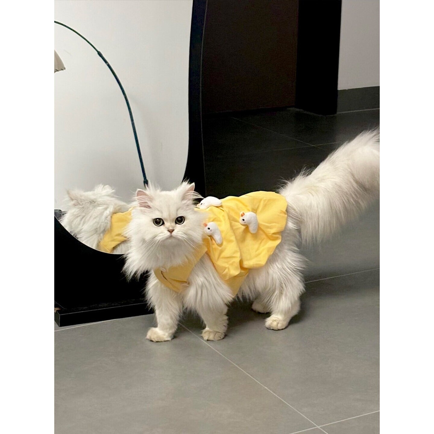 小鸭子猫咪衣服四季通用立体玩偶连衣裙金渐层布偶防掉毛宠物背心