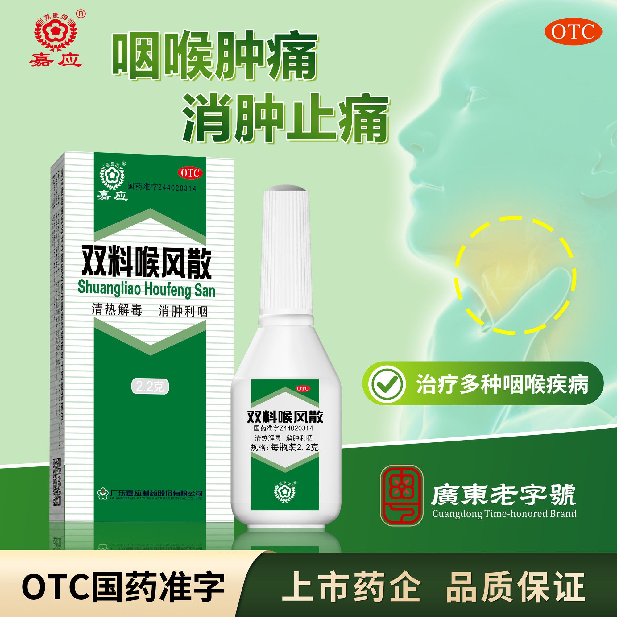 嘉应双料喉风散1g清热解毒消肿利咽咽喉肿痛牙齿牙龈肿痛粉剂喷剂图片