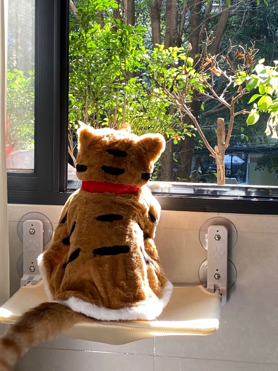 可爱老虎冬季保暖宠物衣服猫咪披风衣加厚狗狗披风小型犬毛绒斗篷