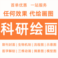 科研代畫繪圖sci流程圖化學(xué)醫(yī)學(xué)toc制圖封面origin模型3D2D圖形論