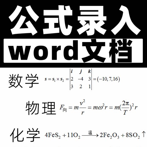word公式录入数学化学物理试卷图片转换文档可编辑代打mathtype扫