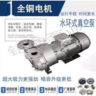 真空泵液环真空泵 5131 2BV5110 5121 5161真空泵 5111 博山水环式