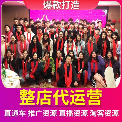 整店托管，全网营销，实力打爆款，对接小二