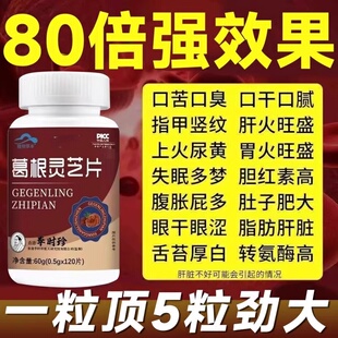 李时珍葛根灵芝片熬夜喝酒口苦口臭肝损伤正品护月干片