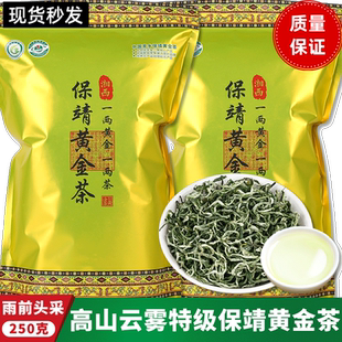 保靖黃金茶2025新茶明前頭采谷雨高香濃香型綠茶栗香型耐泡