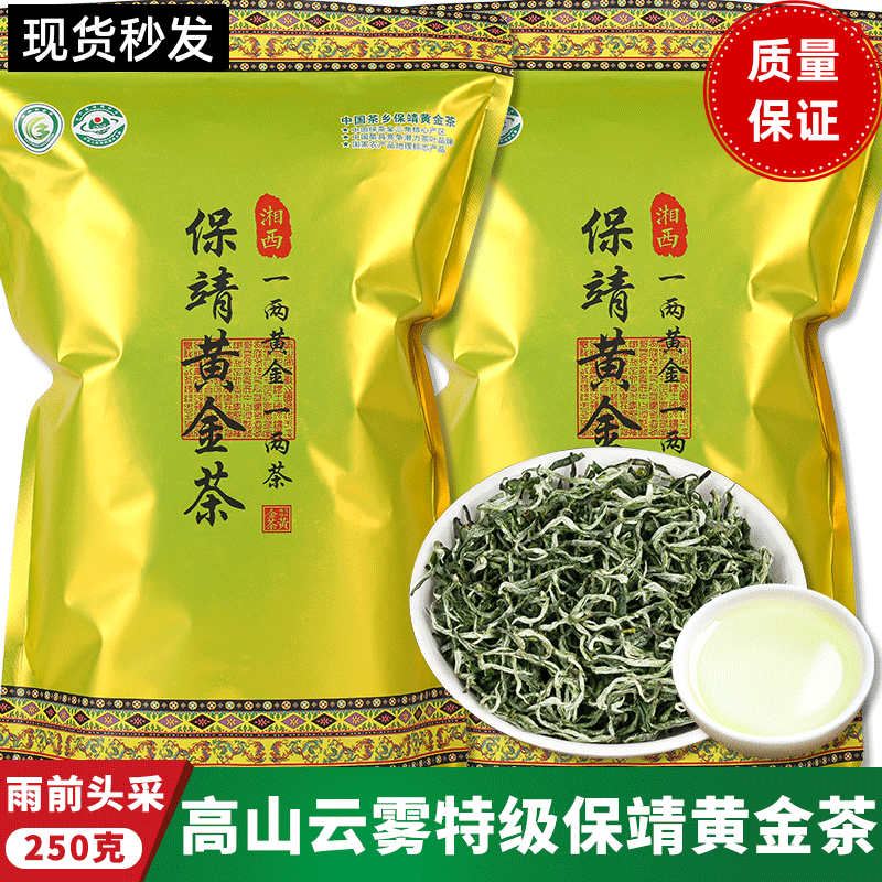 保靖黄金茶2026新茶明前头采谷雨高香浓香型绿茶栗香型耐泡