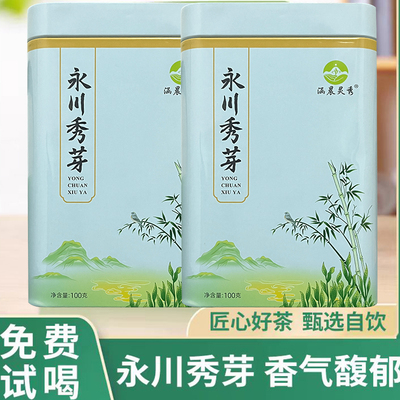 永川秀芽2024新茶叶绿茶明前春茶特级散茶正宗重庆毛尖绿茶