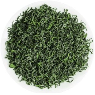 泰山栗香女儿茶2025年新茶叶明前绿茶泰安特产春茶炒青150g