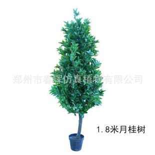 仿真松柏树户外园林绿化工程装饰仿真树定制各种仿真小柏树盆栽