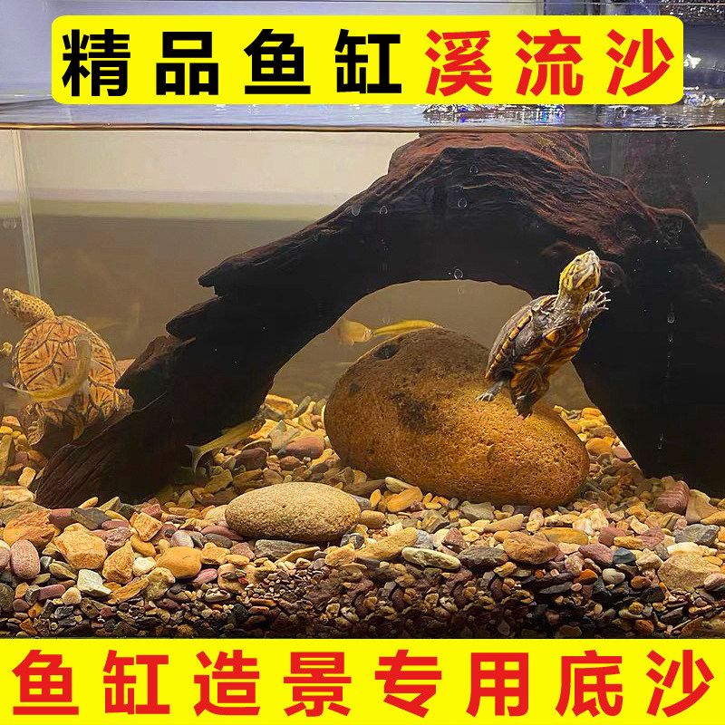 溪流沙底砂鱼缸造景溪流石原生缸细天然河沙乌龟缸雷龙沙子不浑水