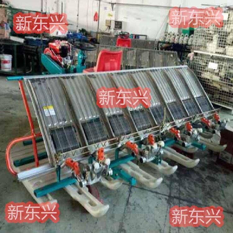 小型插秧机种植机农用耕种机械乘坐式水稻新式六行插禾机插秧机
