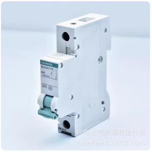 5SN6240 5SN6263 微型断路器 5SN6250 原厂 8CN