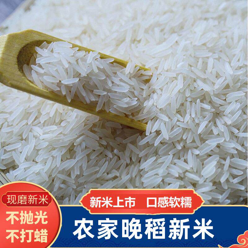 大米新米50斤装批发籼米丝苗米