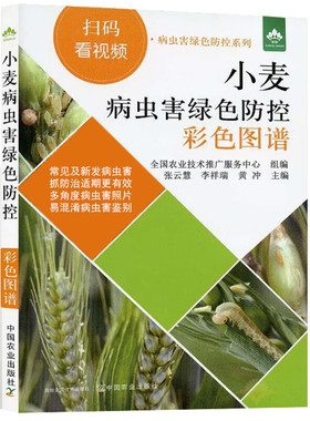 小麦病虫害绿色防控彩色图谱 病虫害绿色防控系列 小麦病虫害绿色防控 麦田管理书 小麦生长异常诊治 病害识别及绿色防治技术书籍