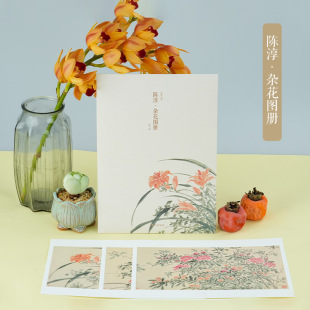 甄选21帧明代绘画大师经典 饰收藏中国画花卉画册页 花鸟画作品集 帧高清还原可临摹鉴赏可装 出类艺术大家小品 单片装 陈淳杂花图册