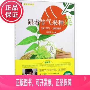 24个节气24份喜悦厨花君园艺 蔬菜种植书 厨花君编著 家庭有机小菜园 绿色蔬菜种植技术大全 家庭种菜书家庭种菜书 跟着节气来种菜