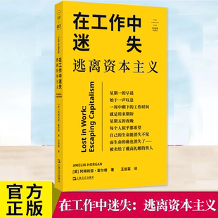在工作中迷失：逃离资本主义 阿梅利亚·霍尔根著 努力不一定带来满足，摸鱼可能有点道理 拆穿工作背后的谎言 上海文艺出版社