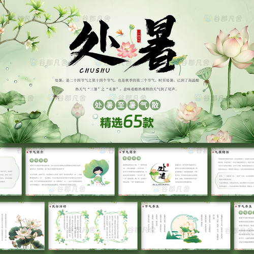处暑ppt模板二十四节气传统宣传介绍中小学主题班会活动策划模版
