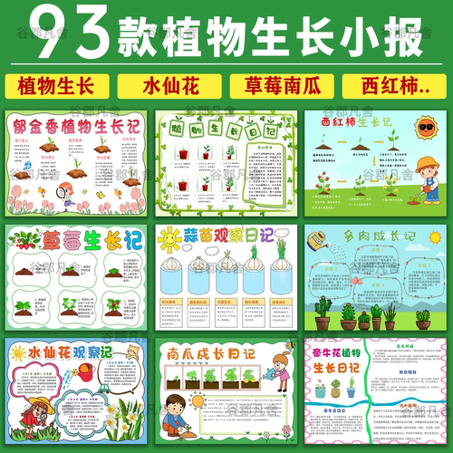 小学生观察日记植物手抄报水仙花