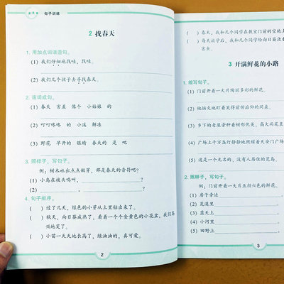 二年级下册句子训练同步专项练习