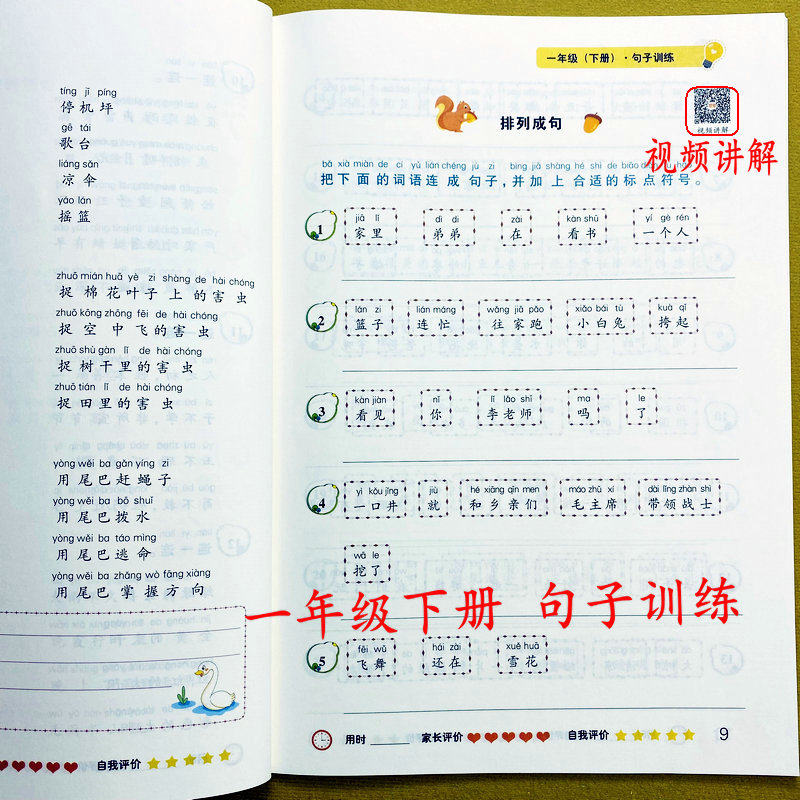 句子专项训练，一年级下册