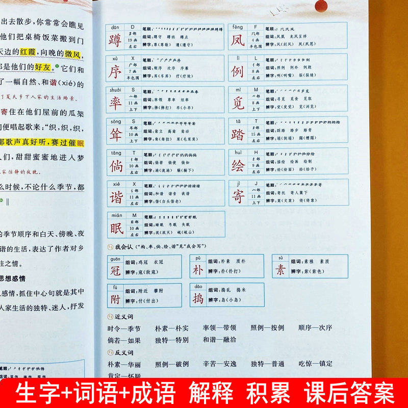 新版教材讲解四年级下册语文教材解读人教版课堂笔记4年级下册同步教材全解字词句篇同步课本部编版近义词反义词成语词语解释积累
