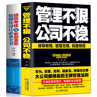 公司不稳营销企业管理方面 全2册绩效与薪酬管理 管理不狠 绩效考核与薪酬激励精细化设计全书 书籍领导力团队管理类书籍畅销书