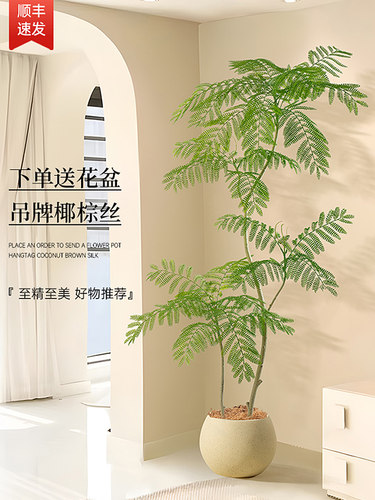 模拟蓝花楹客厅家装绿色彷生绿色植物室内大型落地式盆栽假植物园