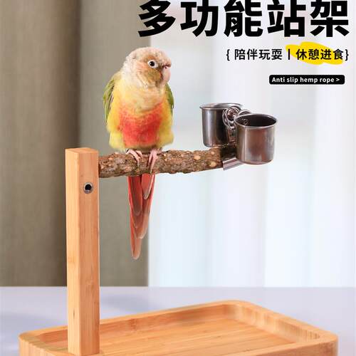 鹦鹉定点排便站架站杆小鸟拉屎神器桌面训练牡丹站专用攀爬皮