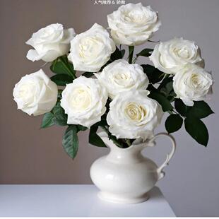 精品白玫瑰骄傲纯洁的爱情婚礼布置家居插花花艺可水培精选AB级花