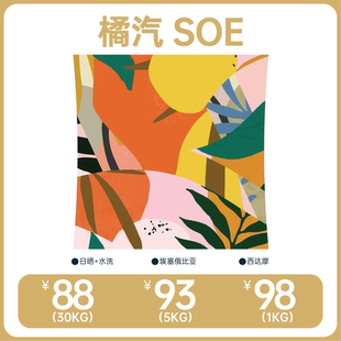 水洗生豆拼配 咖樂(lè)杯限定 日曬 埃塞俄比亞 2025產(chǎn)季 橘汽SOE
