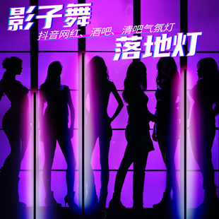 影子舞专用灯主播直播间场景动态背景布置气氛装饰跳舞蹈投影灯光