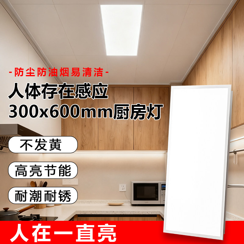 【一万+人种草】300x600mm厨房灯