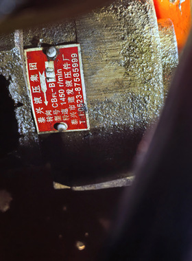 泰兴市建发液压件厂铆皮机液压泵CBFL-B10齿轮油泵润滑泵液压站