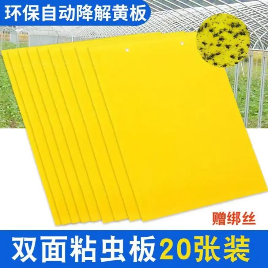 黄色双面粘虫板贴纸强力小飞虫沾果蝇诱捕捉蚊子苍蝇xy