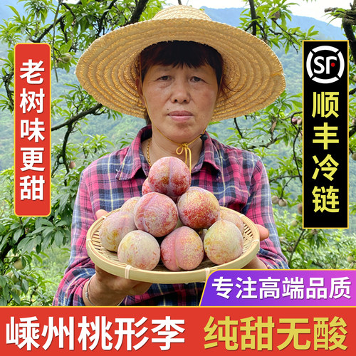 正宗嵊州桃形李子新鲜水果浙江红心红肉脆甜李子现摘大果5斤礼盒