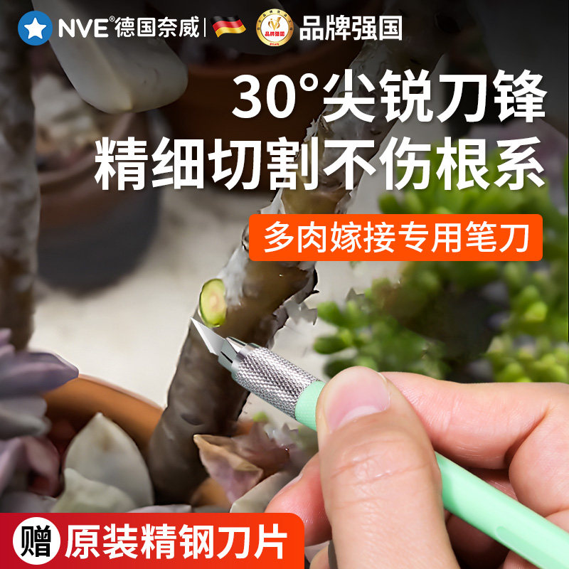 速发多肉砍头扦园艺嫁接专爪笔刀水仙雕刻刀蟹用兰仙人球刀插芽刀