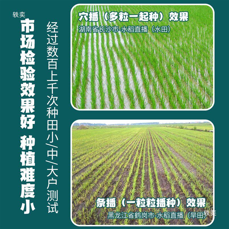 速发新款水稻直播菜籽播种多机机能点播功穴播机粒数可调插秧机