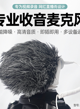 朗诗歌DMM1W单反手机话筒直播录音指向性降噪电容专业录音设备