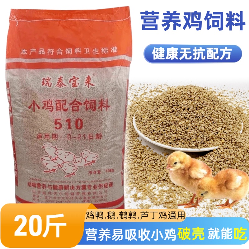 小鸡中大鸡高营养饲料爱吃长得快