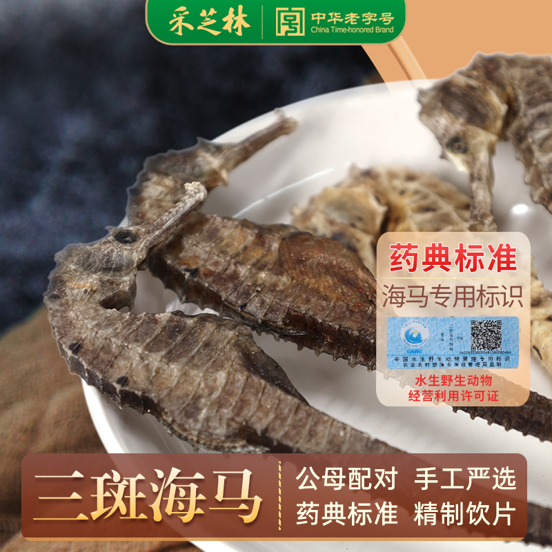 三斑海马中药材采芝林