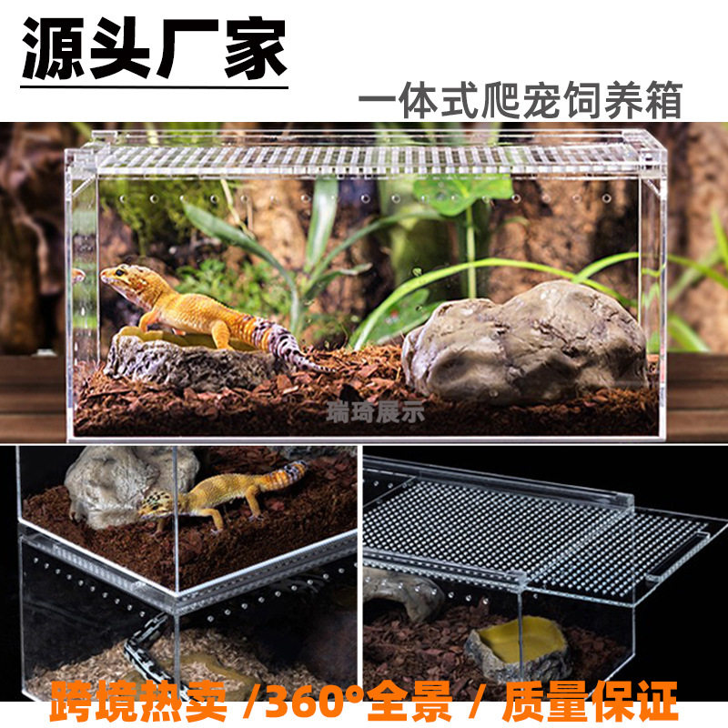 亚克力一体防漏水爬宠盒蜘蛛角蛙守宫蛇爬行动物饲养箱现货秒发