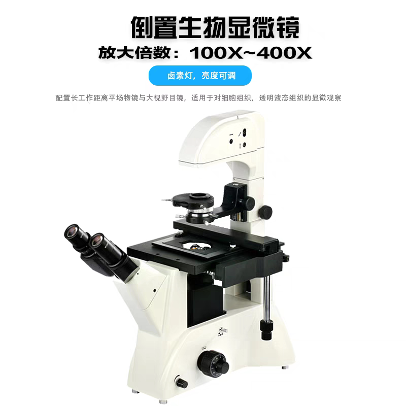 奥林巴斯倒置荧光显微镜，国产倒置荧光显微镜对标奥林巴斯CKX53