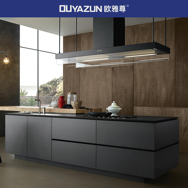 【政府换新补贴】黑色整体橱柜