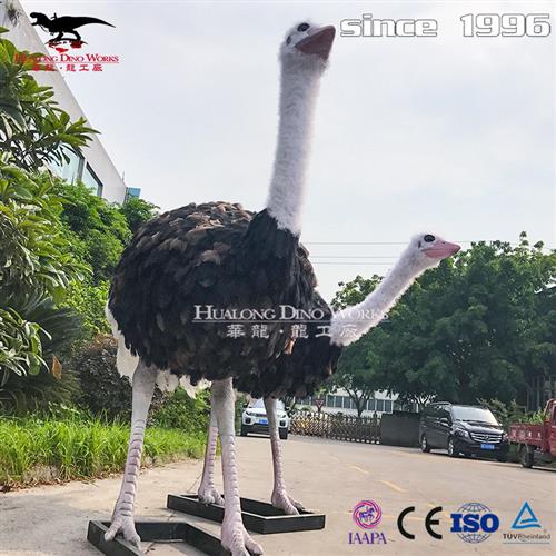 自贡大型仿真动物工厂鸵鸟塑性逼真亲子乐园动物园互动模型摆件