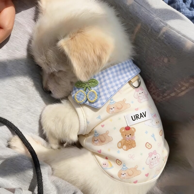 春夏薄款可牵引透气宠物狗狗猫咪专用可爱背心服饰泰迪比熊小型犬