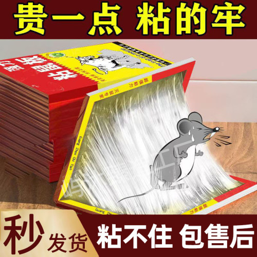 粘鼠板捕鼠神器粘大老鼠家用捕鼠夹厨房强力胶粘老鼠贴一锅超强端