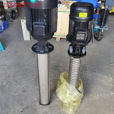 BRINKMANN  PUMPS德国布曼水泵,进口水泵,存备(议价)