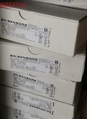 德国 BD SENSOR  DX19-DMP343 100-(议价)